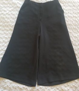 Elizabeth and James wide leg cropped pants